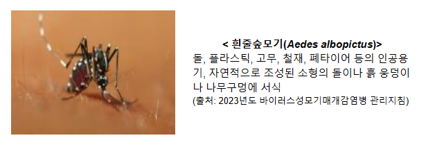 동남아 여행 후에는 검역소에서 뎅기열 검사 받아보세요!