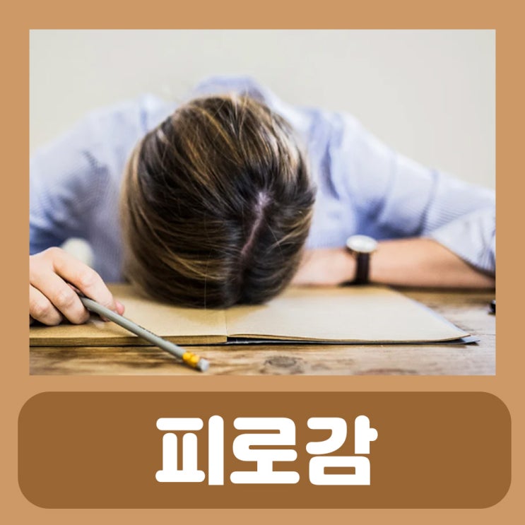  약국 자양강장제 심한 피로감 피로회복제 원비디 피리독신염산염