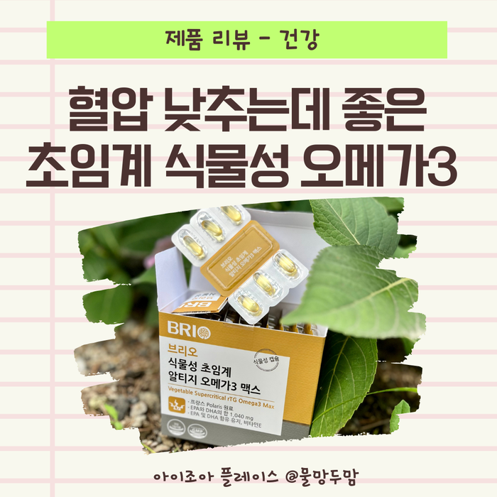 고혈압 낮추는 법 초임계 뜻 식물성 알티지 오메가3 추천