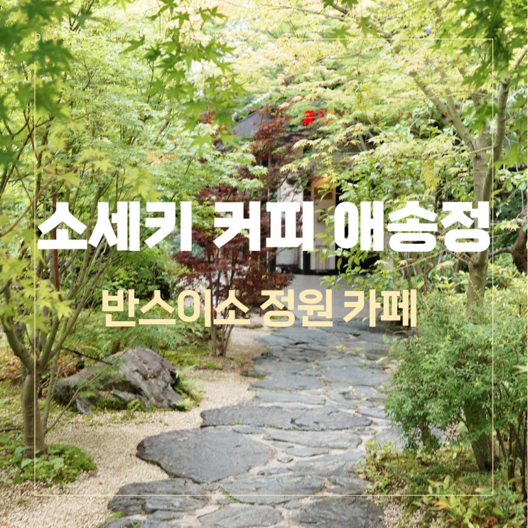  마츠야마에서 느끼는 나쓰메 소세키의 흔적이 있는 아이쇼테이(애송정) 소세키 카페