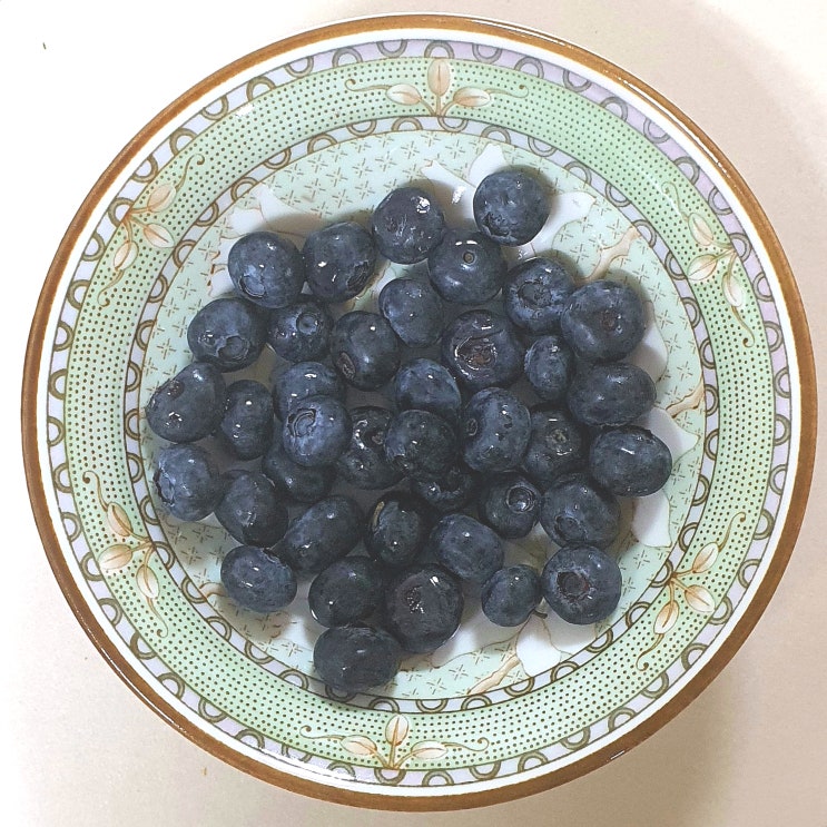  블루베리 효능 및 칼로리 부작용 제철 시기 알고 먹어요