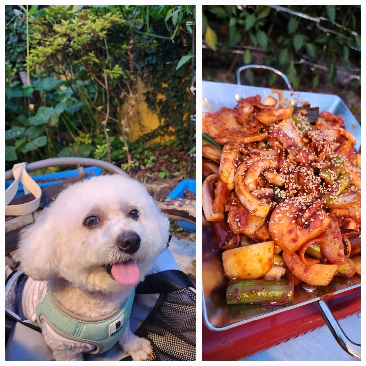  애견동반가능한 행궁동 한식 맛집 '수라간'