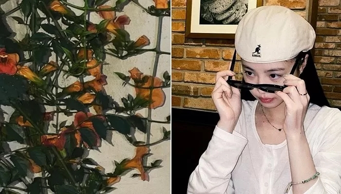 '학폭 논란' 여자아이들 탈퇴한 수진, SNS 개설해...2년만 첫 근황 전해 복귀 시동거나? '학폭 논란' 여자아이들 탈퇴한 수진, SNS 개설해...2년만 첫 근황 전해 복귀 시동거나?