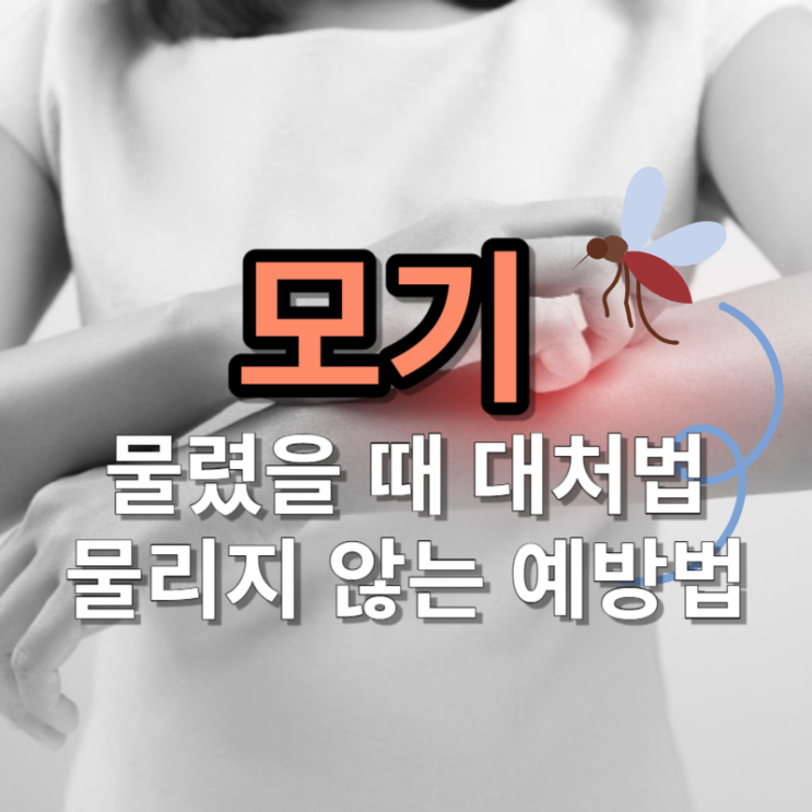 모기 물렸을 때 대처 방법, 모기 안 물리려면?