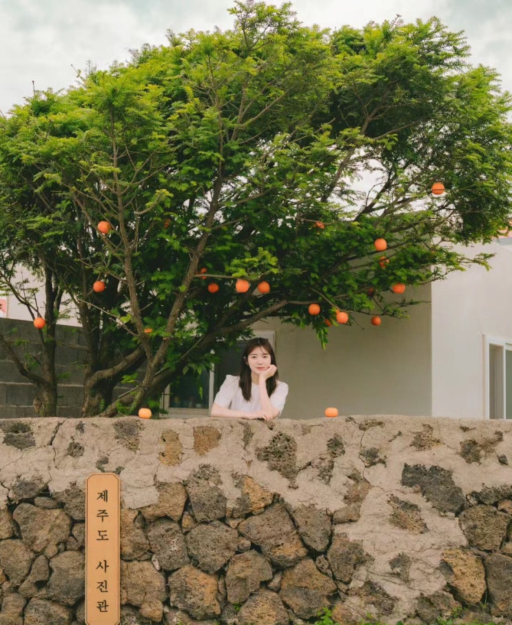  24.9998살의 여름에서 살아남기 