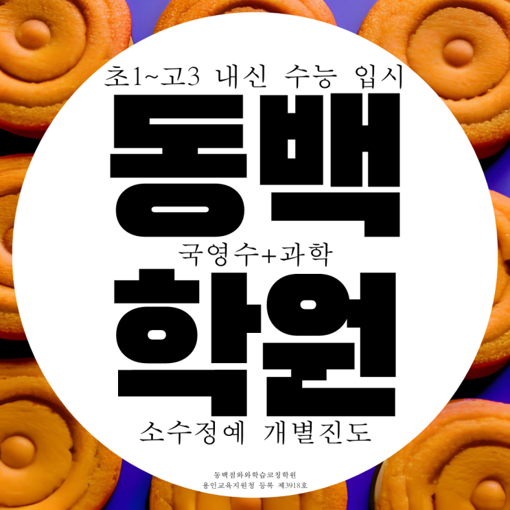 용인 기흥구 동백동 와와학습코칭센터 동백점 초당고 국영수 과학학원