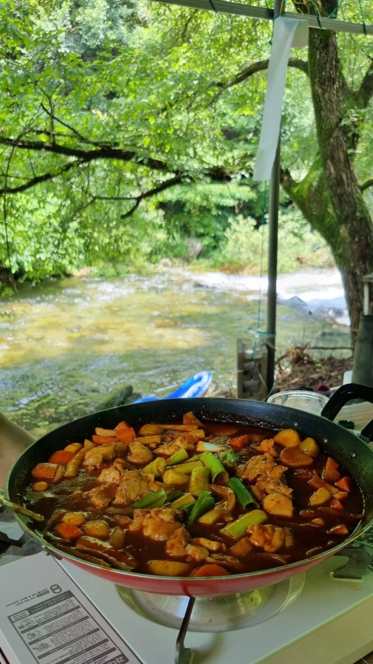  원주 치악산 주변 물 맑은 계곡으로 놀러왔어요!