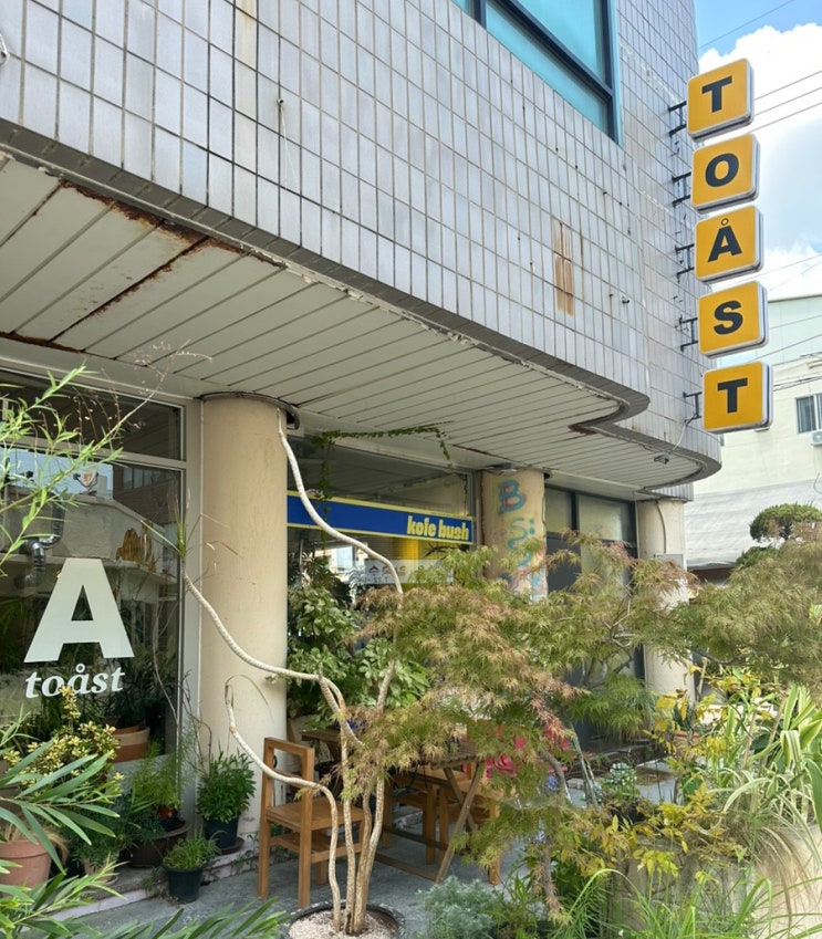  대전 은행동 낮술하기 좋은 와인바 토스트 TOAST