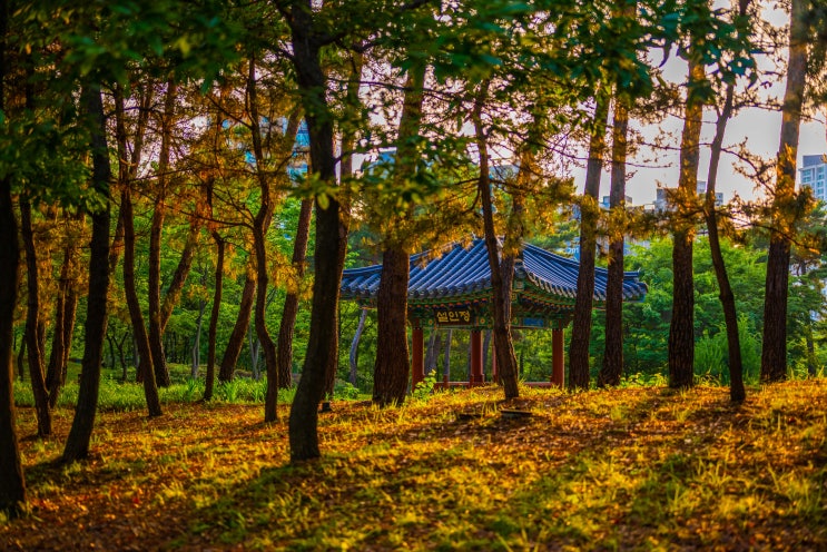  [여행지 추천] 인천 송도 미추홀공원 - 인천 송도 가볼만한 곳