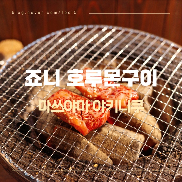  마쓰야마 저녁 메뉴 추천 야키니쿠와 호루몬 숯불구이 야미이치죠니 (闇市ジョニー二番町店)