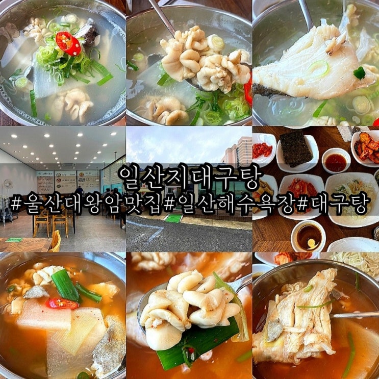  울산 대왕암 맛집 울산 대구탕 잘하는 일산지대구탕