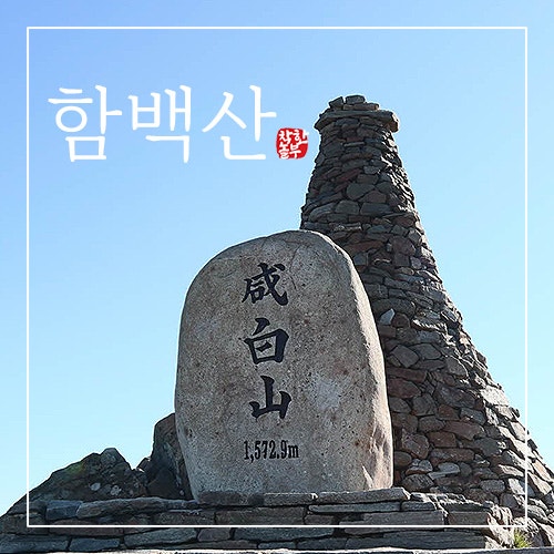  함백산 최단코스와 야생화의 천국 만항재