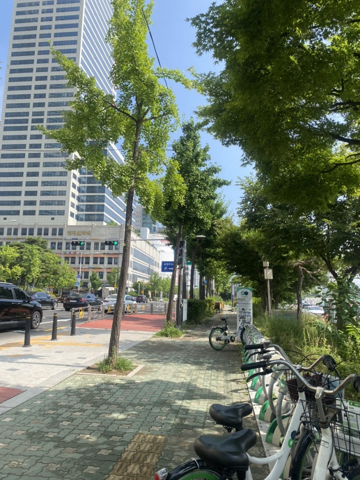  목동 용왕산 둘레길 트래킹