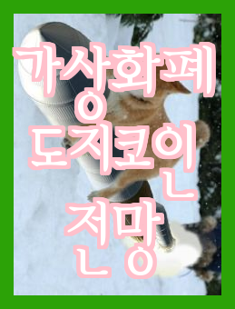  강아지로 로고를 바꾸어 보는 일론 머스크의 트위터, 도지코인 시세 전망