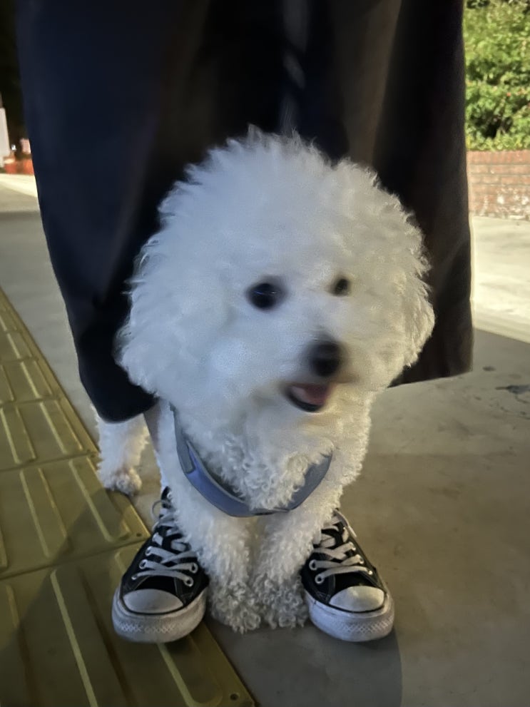 오랜만이야