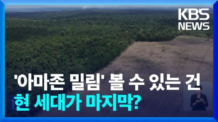 ‘아마존 밀림’ 볼 수 있는 건 현 세대가 마지막? [기후는 말한다]