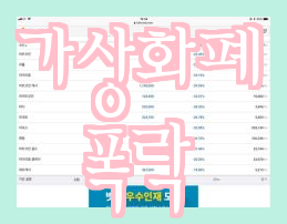 가상화폐 급락과 전망