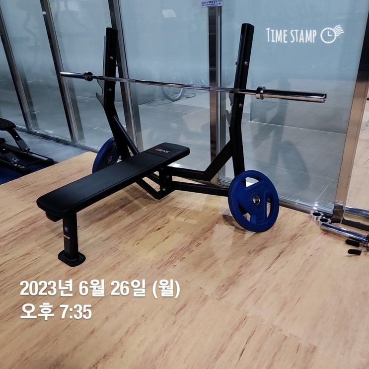  [운동,일상]6월 마지막 주 운동기록, 마라톤 5km준비