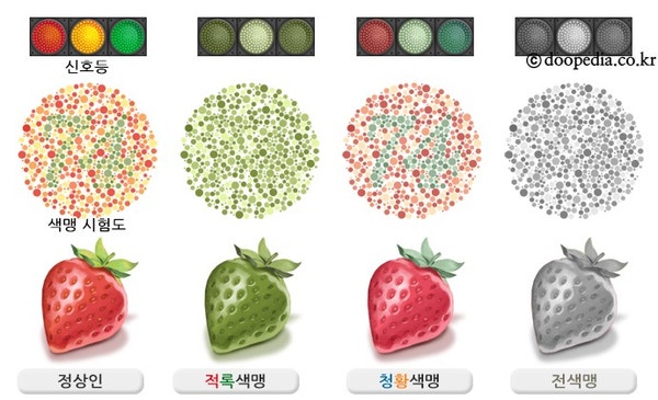적록 색약 색맹 색약 테스트 적록 색약 렌즈 적록색맹 총정리 : 네이버 블로그
