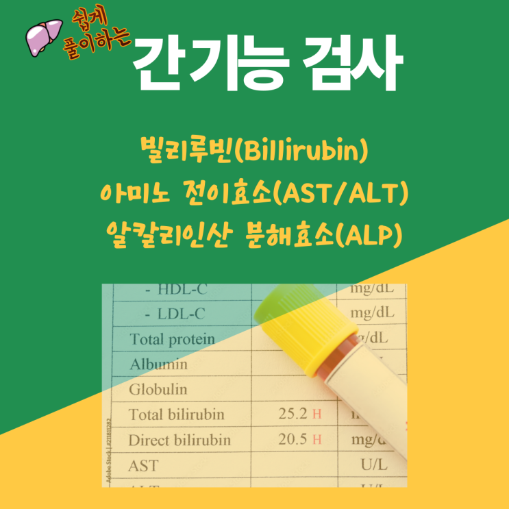  간 기능 검사 의미/정상범위