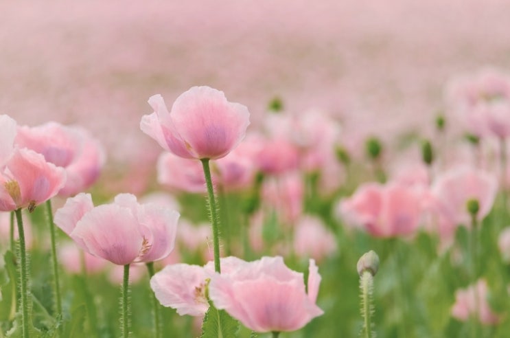  위염에 좋은 음식 구체적으로 생각해보기