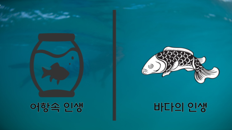  자신은 어디에 해당되는 사람인가?
