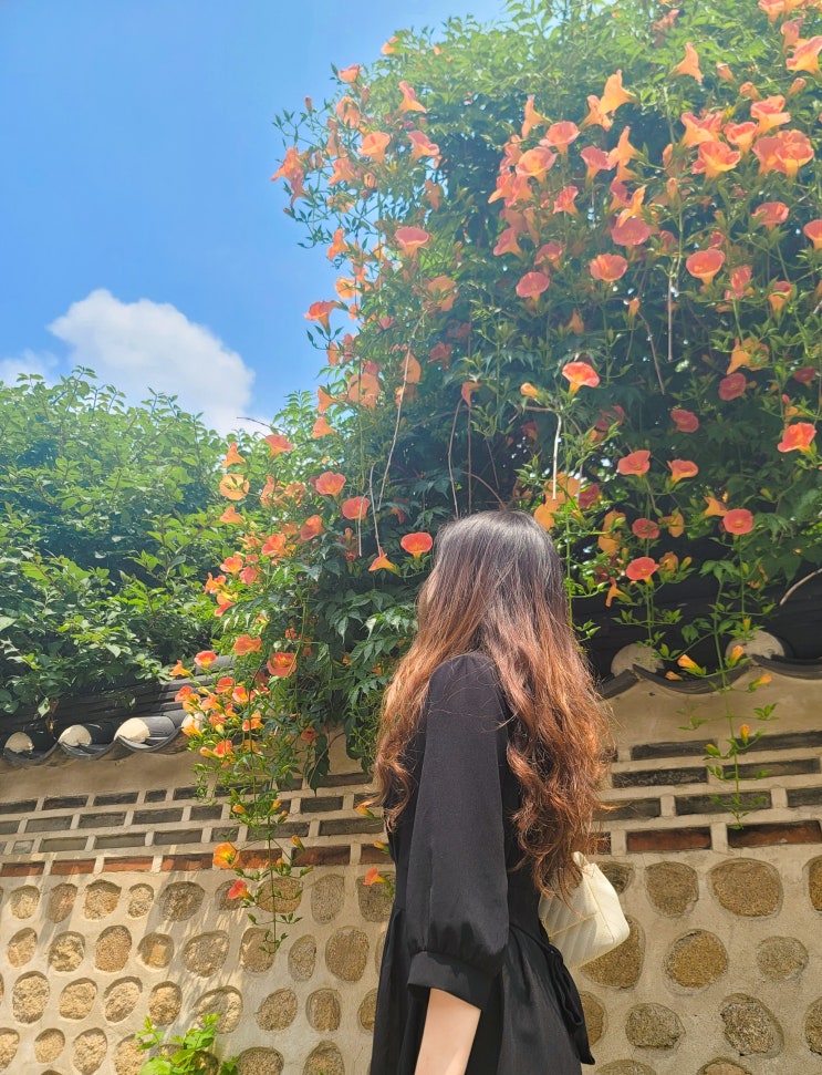  삼청동 데이트 퀸즈베이커리와 카페거리까지