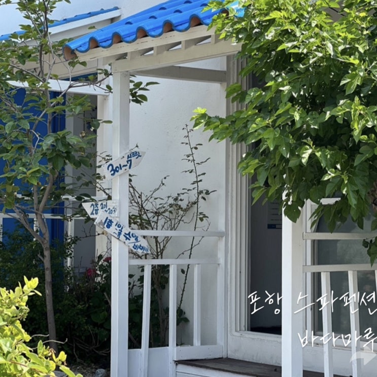  포항 스파 펜션 애견 동반가능한 바다마루
