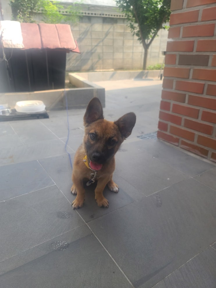  230701 오늘의 이벤트
