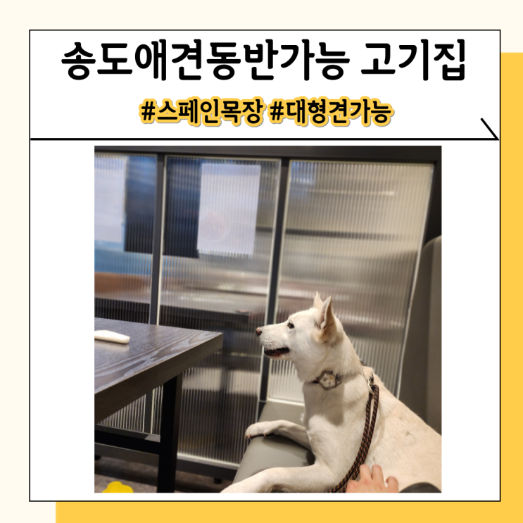송도애견동반식당 스페인목장 3호점 인생 고기집 등극 송도애견동반식당 스페인목장 3호점 인생 고기집 등극