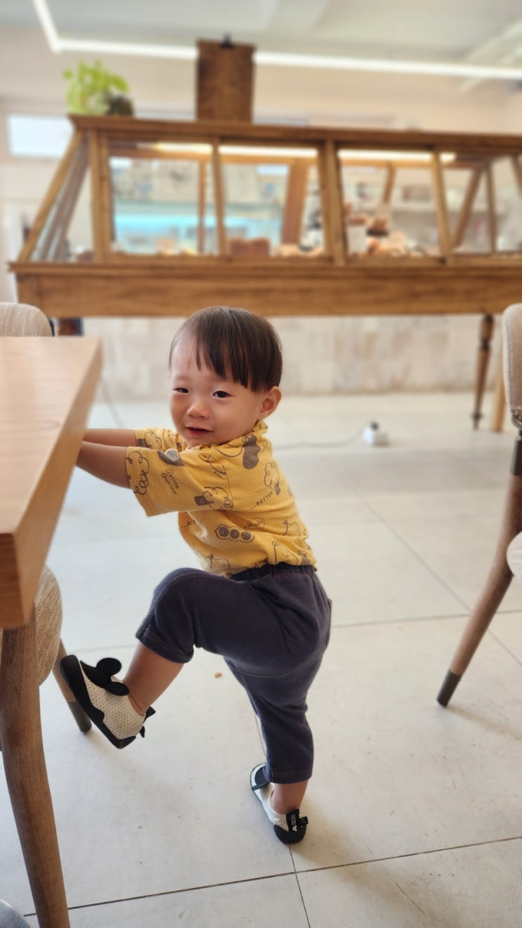  아기가 갑자기 못걸음ㅠ아기 고관절염증(천안센텀정형외과 방문)