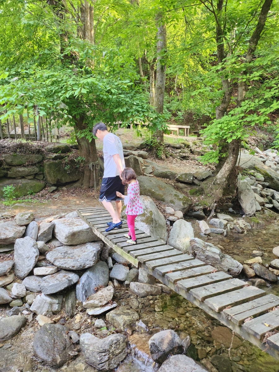 유명산풍차캠핑장 사진 6