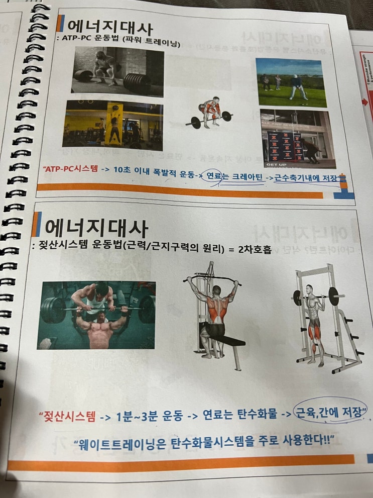  생체 구술 시험문제로 나온것 모은것들2