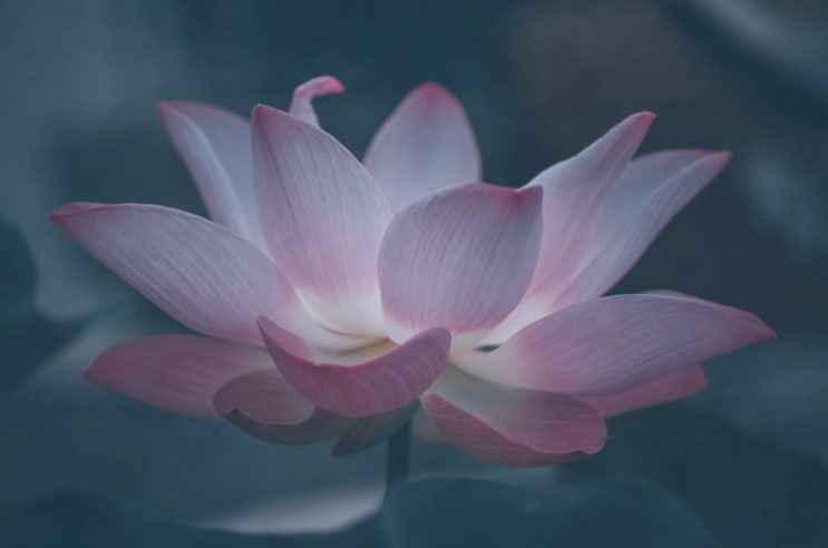  발바닥통증 원인 관찰하기