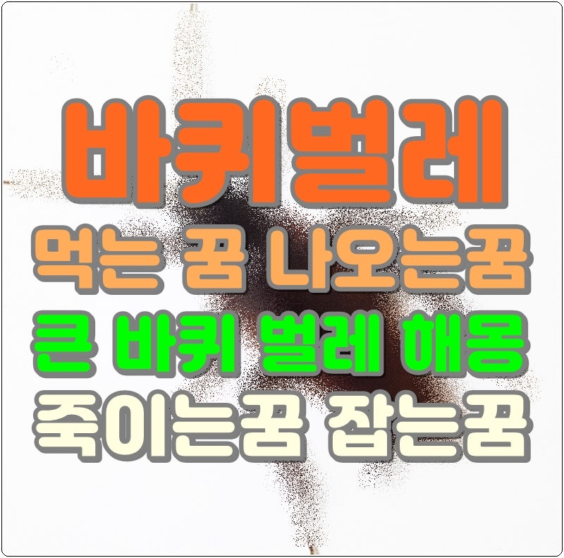 바퀴벌레 먹는 꿈 나오는꿈해몽 큰 바퀴 벌레 죽이는꿈 잡는꿈
