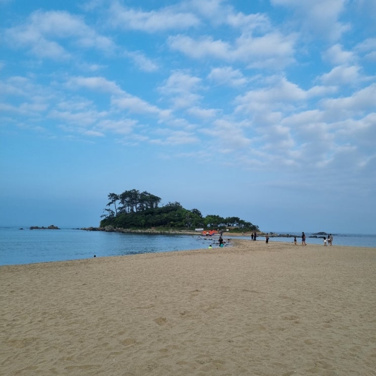  울주군 진하해수욕장 명선교 명선도 야간 불빛 산책
