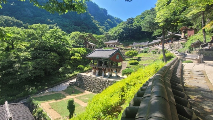  봉화 청량산 등산