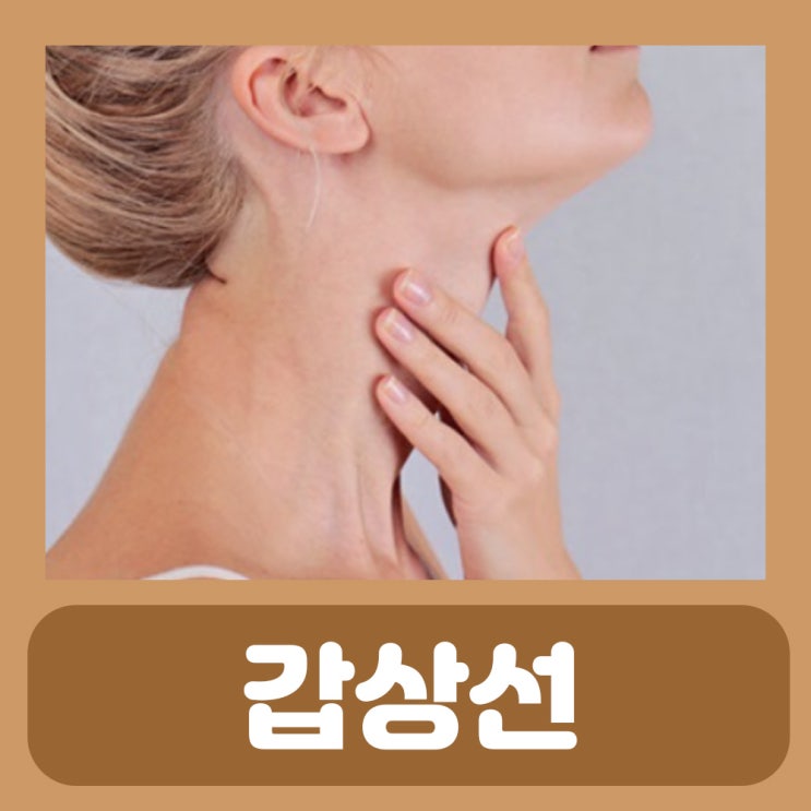  갑상선 결절 증상 원인 영양제 그랜티정