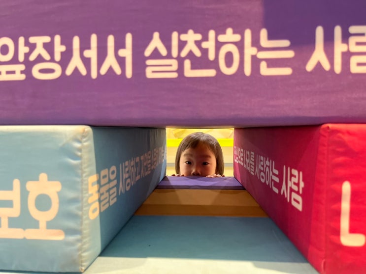  세종시 비오는날 가볼만한 곳 대통령기록관 어린이체험관 세종 실내 갈만한곳