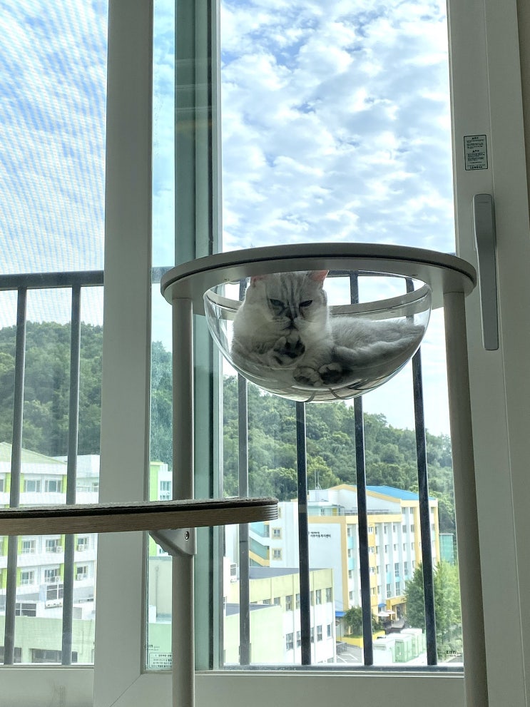 첫 글