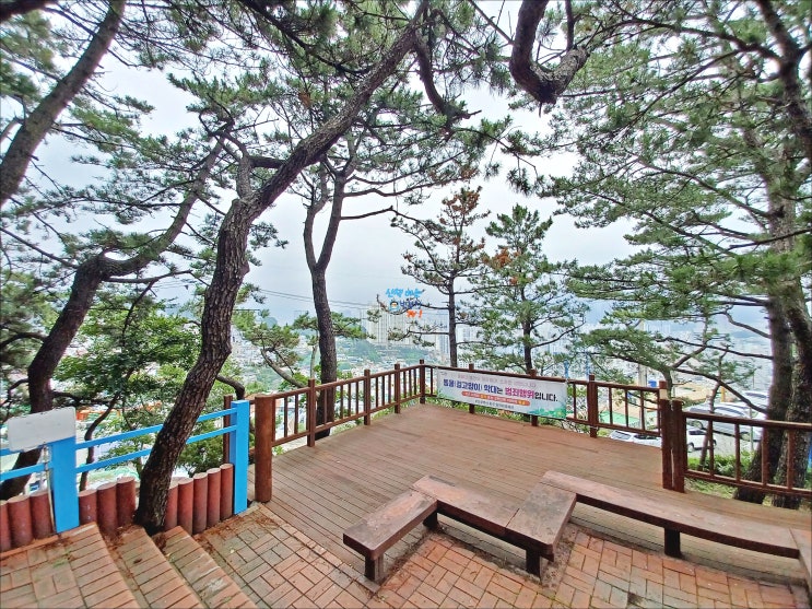 부산 동구 증산공원 산책 박부장의 구름다리도전 부산 동구 증산공원 산책 박부장의 구름다리도전