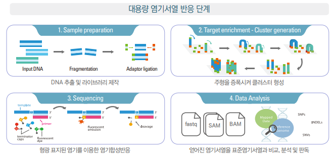 NGS(Next Generation Sequencing) 검사