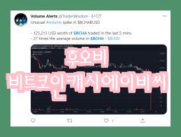  비트코인캐시에이비씨(BCHA)코인 가격 파악, 긍정적 소식 및 분석