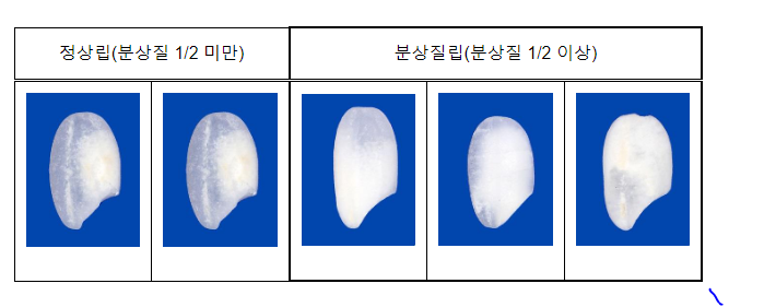 농식품부, 쌀 품질 향상을 위해 ‘쌀 등급기준’ 강화 농식품부, 쌀 품질 향상을 위해 ‘쌀 등급기준’ 강화