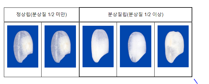 농식품부, 쌀 품질 향상을 위해 ‘쌀 등급기준’ 강화