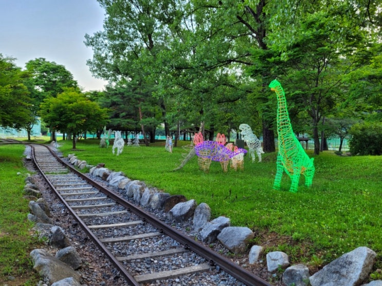  화천 여행 여름에 가볼만한곳 화천붕어섬