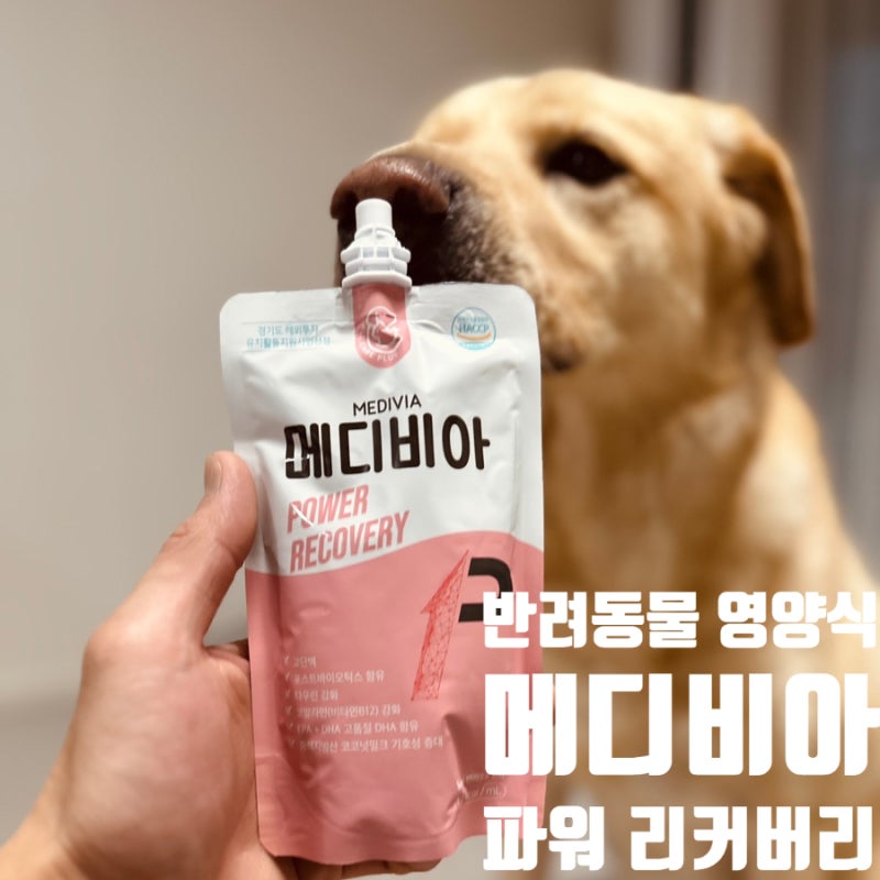 반려동물영양식 기력회복 영양보충식 메디비아 리커버리