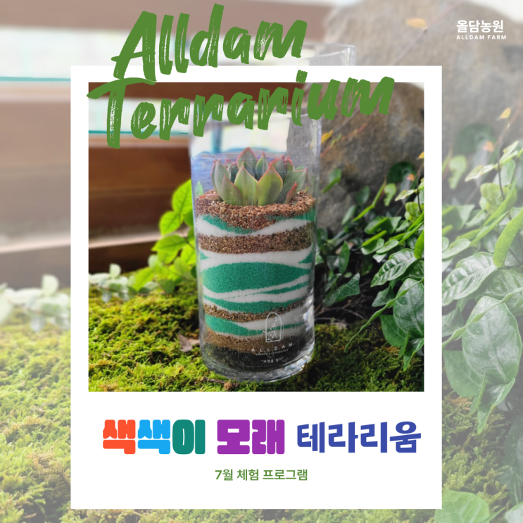  7월 체험 프로그램