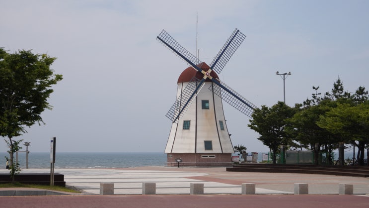  충남서천 춘장대해수욕장 개장 소식