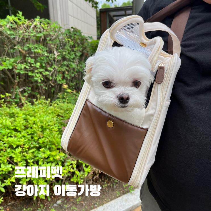  프레피펫 강아지 이동가방 후기,쓸개골탈구 이동가방 추천
